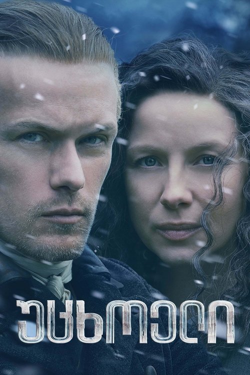 უცხოელი / Outlander (ქართულად) (2014)
