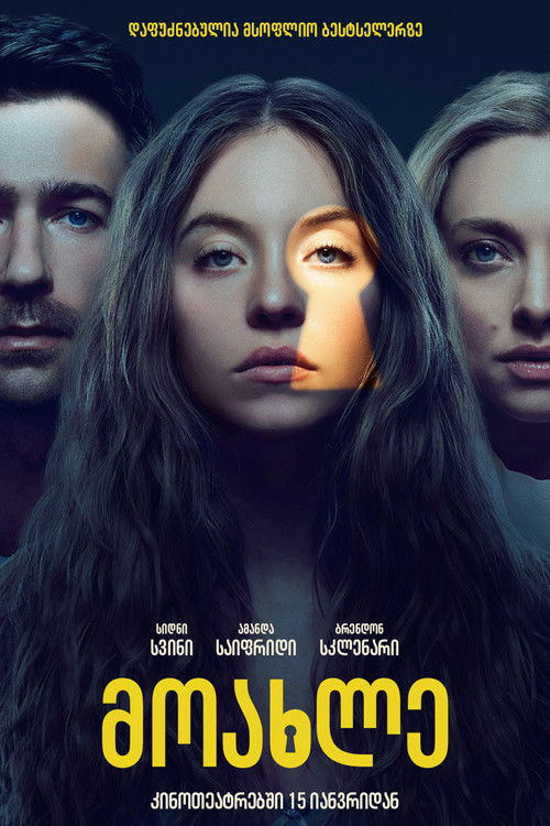 მოახლე / The Housemaid (ქართულად) (2025)