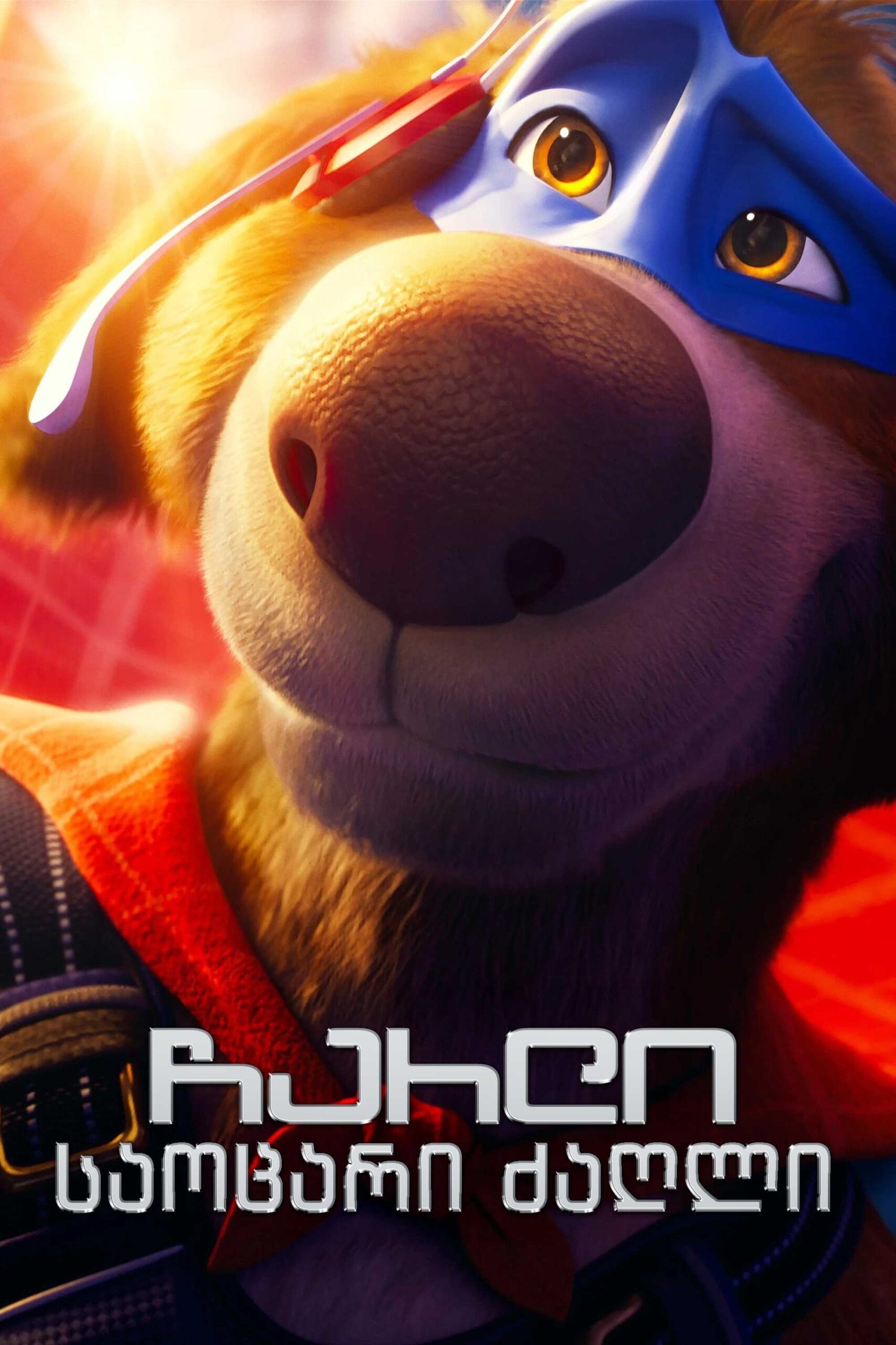 ჩარლი საოცარი ძაღლი / Charlie the Wonderdog