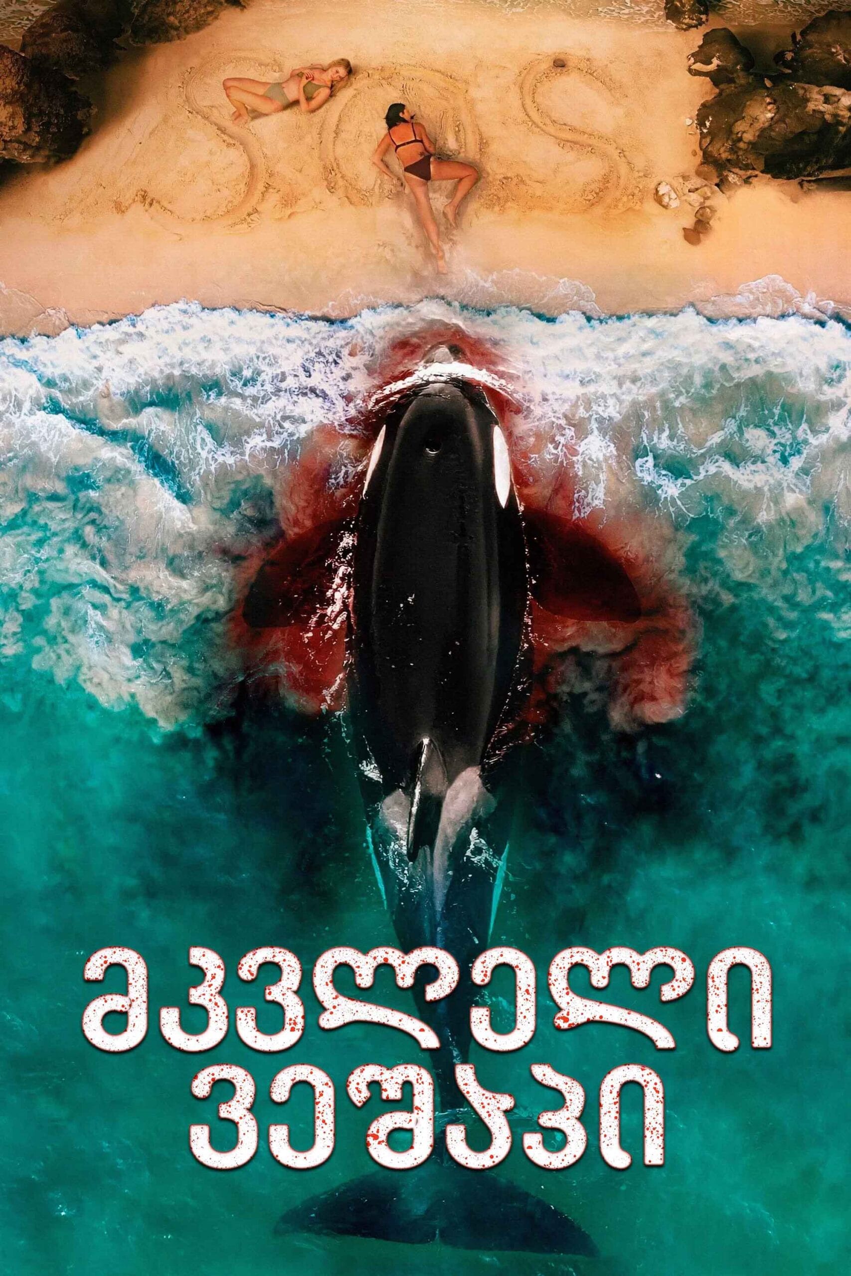 მკვლელი ვეშაპი / Killer Whale