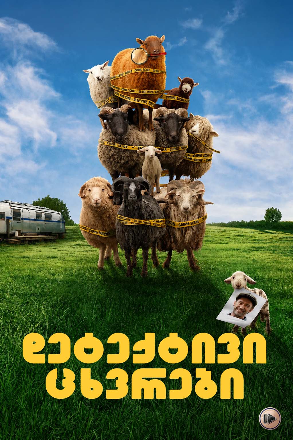 დეტექტივი ცხვრები / The Sheep Detectives